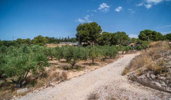 Begagnad - Finca - La Tercia