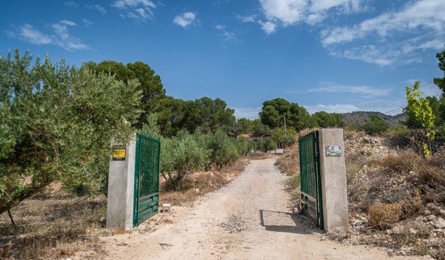 Begagnad - Finca - La Tercia