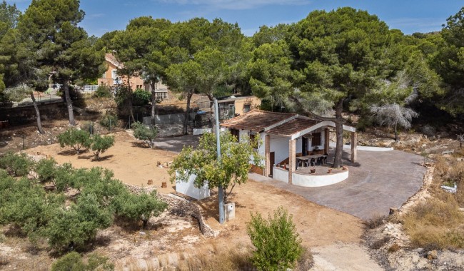 Begagnad - Finca - La Tercia