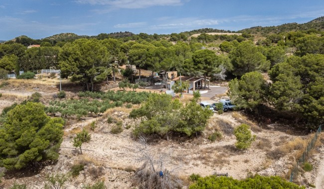 Begagnad - Finca - La Tercia