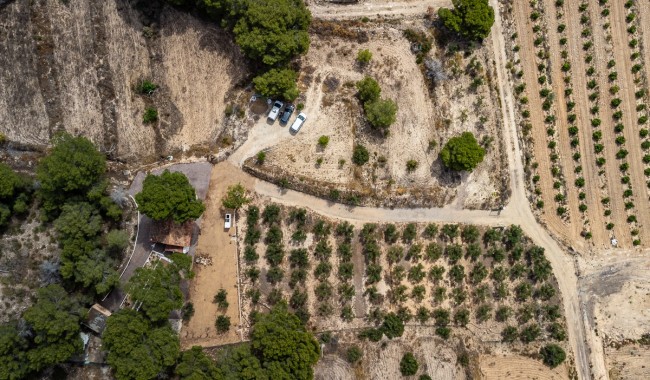 Begagnad - Finca - La Tercia