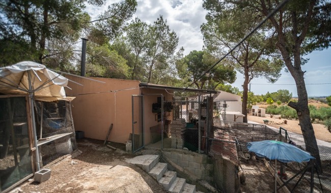 Begagnad - Finca - La Tercia