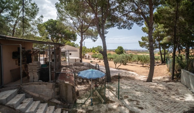 Begagnad - Finca - La Tercia