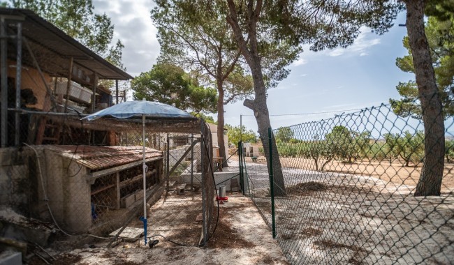 Begagnad - Finca - La Tercia