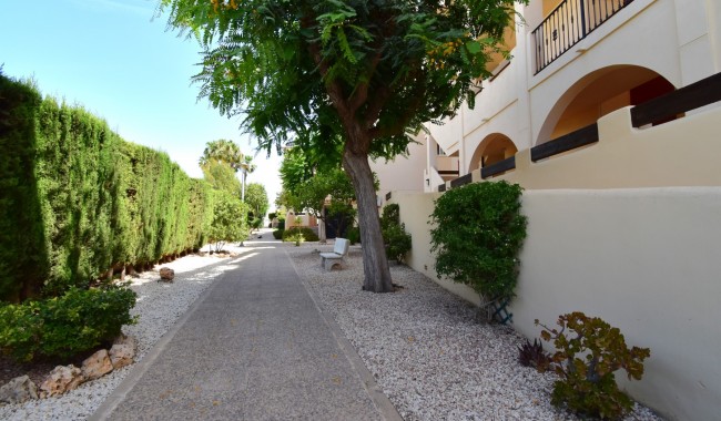 Begagnad - Lägenhet - Orihuela Costa - Playa Flamenca