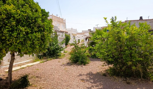 Sprzedaż - Bungalow - Torrevieja - Torreta florida
