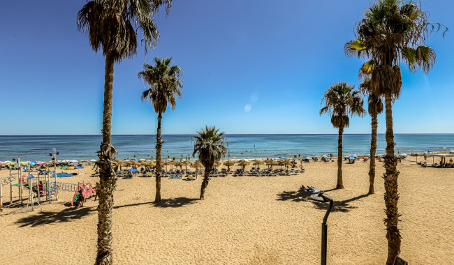 Brukt - Leilighet - La Mata, Torrevieja - La Mata
