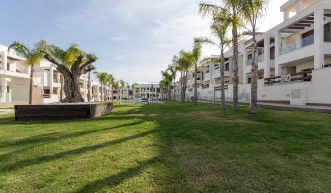Nueva construcción  - Apartamento - Torrevieja - Los Balcones