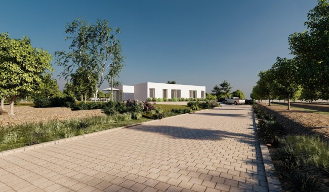 Nueva construcción  - Villa - Benejúzar - alta