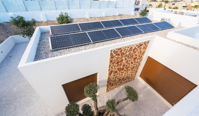 Nueva construcción  - Villa - Benejúzar - alta