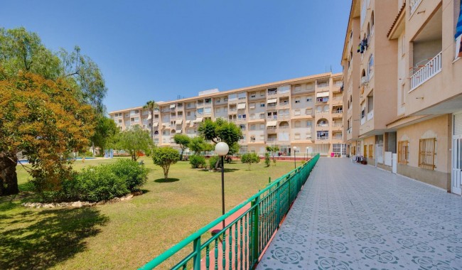 Brukt - Leilighet - Torrevieja - Parque las naciones