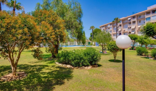 Brukt - Leilighet - Torrevieja - Parque las naciones