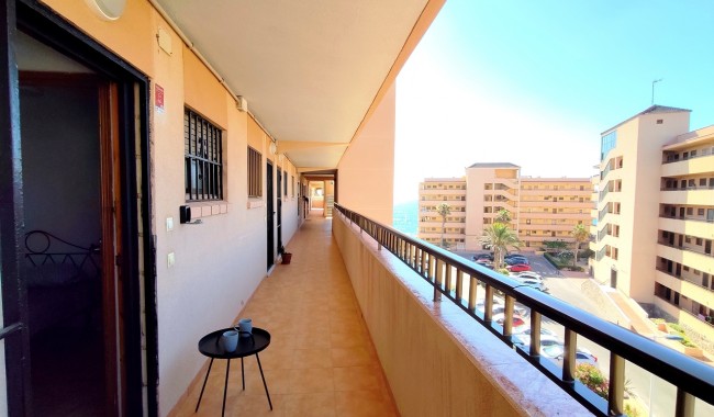 Brukt - Leilighet - La Mata, Torrevieja - La Mata