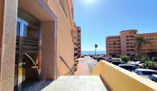 Brukt - Leilighet - La Mata, Torrevieja - La Mata