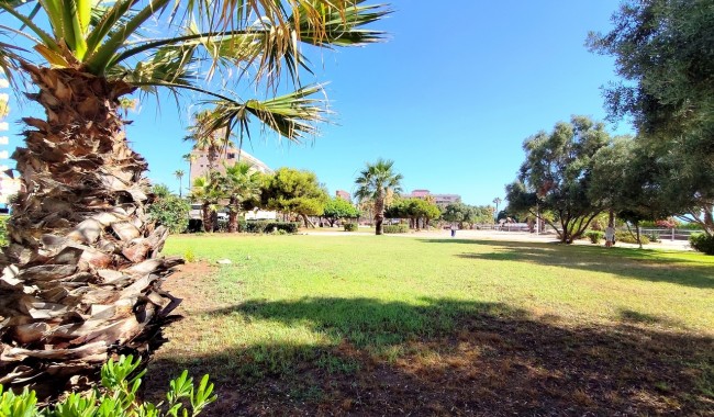 Brukt - Leilighet - La Mata, Torrevieja - La Mata