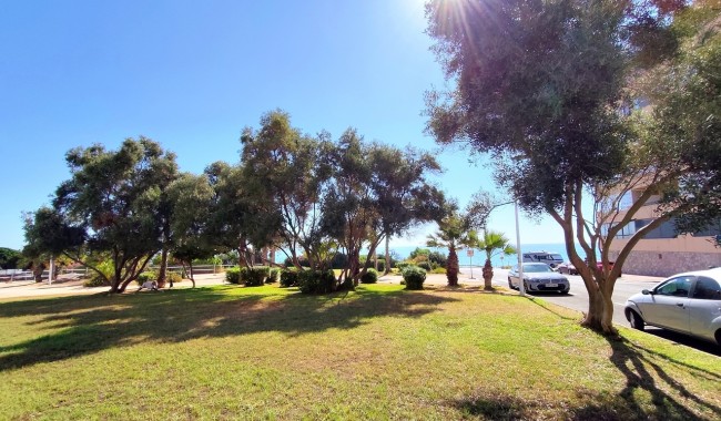 Brukt - Leilighet - La Mata, Torrevieja - La Mata