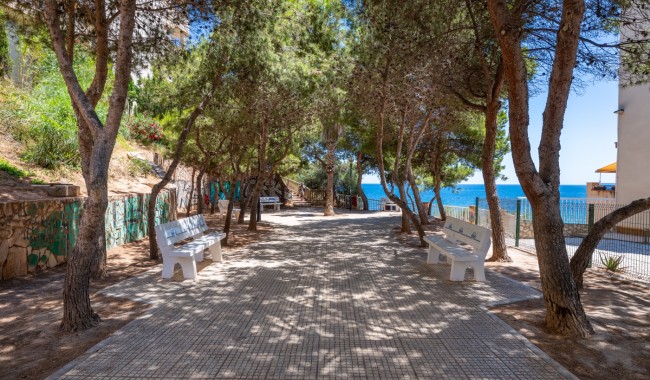 Segunda mano - Apartamento - Cabo Roig