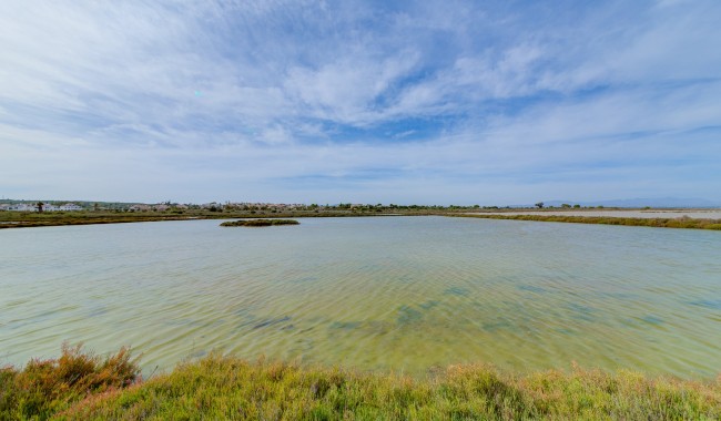 Brukt - Villa - Formentera del Segura