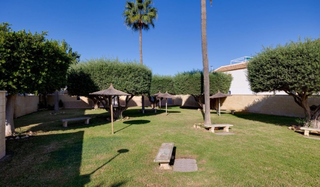Resale - Apartment - Torrevieja - Carrefour