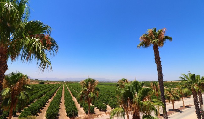 Brukt - Vertikaldelt - Algorfa - La Finca golf