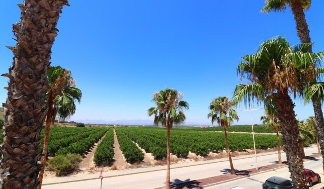Brukt - Vertikaldelt - Algorfa - La Finca golf