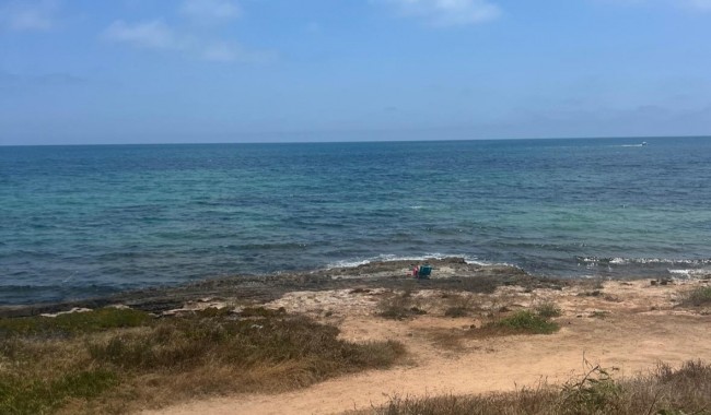 Segunda mano - Apartamento - Torrevieja
