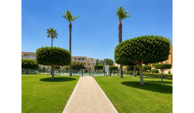 Brukt - Leilighet - La Mata, Torrevieja - La Mata