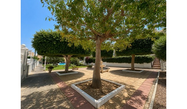 Brukt - Leilighet - La Mata, Torrevieja - La Mata
