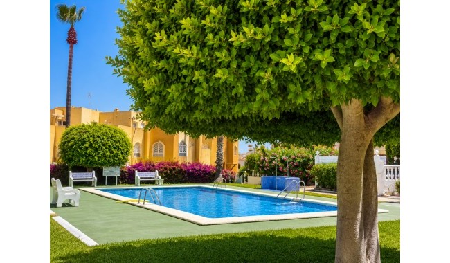 Brukt - Leilighet - La Mata, Torrevieja - La Mata