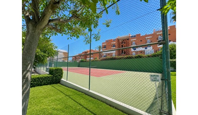 Brukt - Leilighet - La Mata, Torrevieja - La Mata