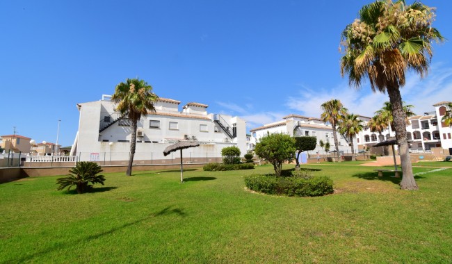 Segunda mano - Apartamento - Orihuela Costa - Playa Flamenca