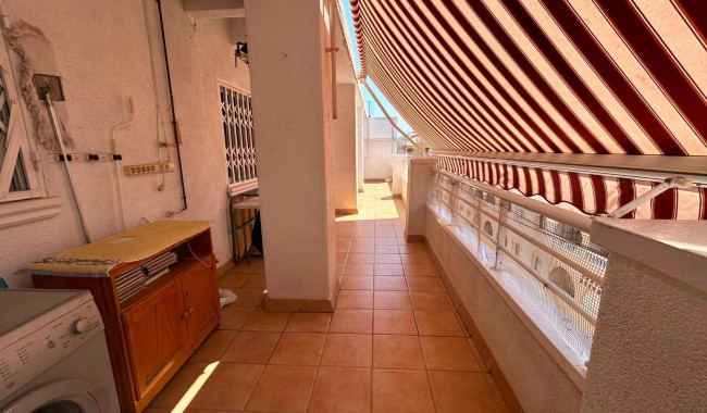 Segunda mano - Apartamento - Torrevieja - Estacion de autobuses