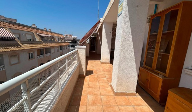 Segunda mano - Apartamento - Torrevieja - Estacion de autobuses