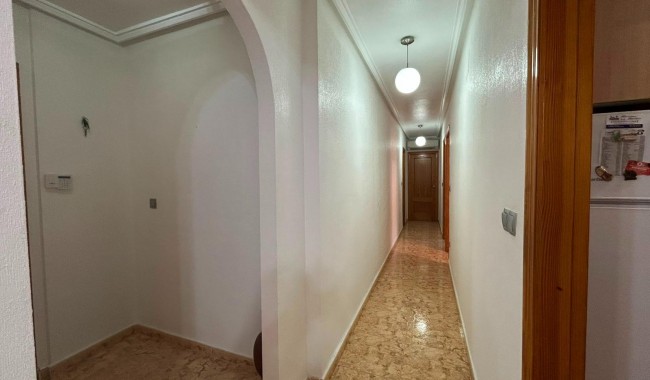 Segunda mano - Apartamento - Torrevieja - Estacion de autobuses