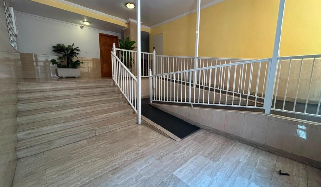 Segunda mano - Apartamento - Torrevieja - Estacion de autobuses