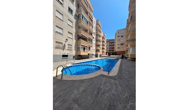 Segunda mano - Apartamento - Torrevieja - Estacion de autobuses
