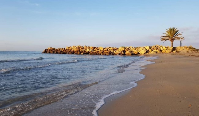 Nybygg - Leilighet - Santa Pola - Playa Tamarit