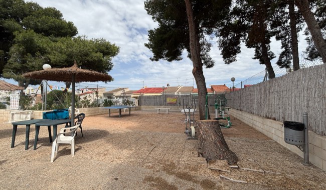 Begagnad - Vertikalt delad - Torrevieja - El limonar