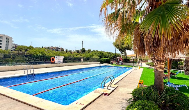 Sprzedaż - Apartament - Orihuela costa - La Zenia
