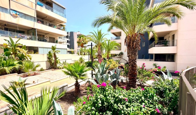 Sprzedaż - Apartament - Orihuela costa - La Zenia