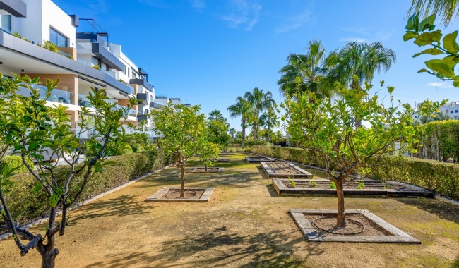 Segunda mano - Apartamento - Villamartín
