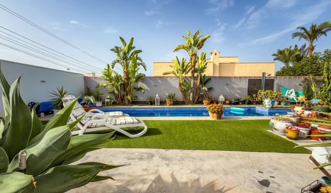 Brukt - Villa - Torrevieja - Torreta - Florida