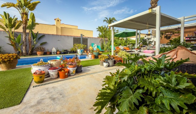 Brukt - Villa - Torrevieja - Torreta - Florida