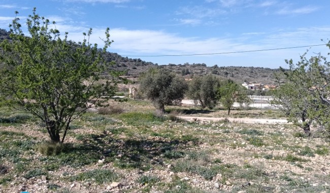 Begagnad - Villa - Abanilla