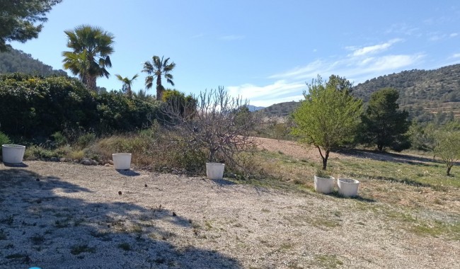Begagnad - Villa - Abanilla