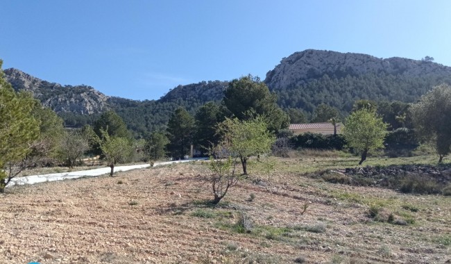 Begagnad - Villa - Abanilla
