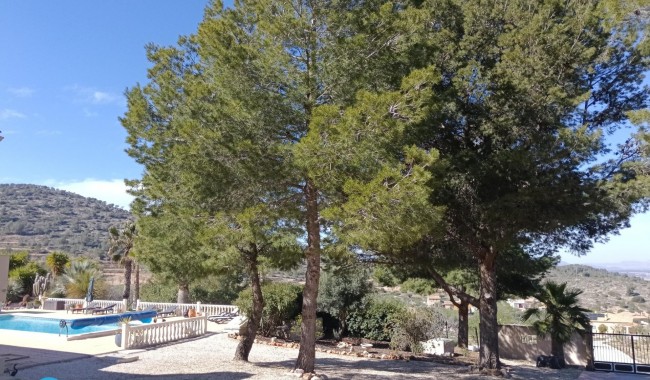 Begagnad - Villa - Abanilla