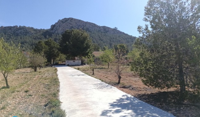 Begagnad - Villa - Abanilla