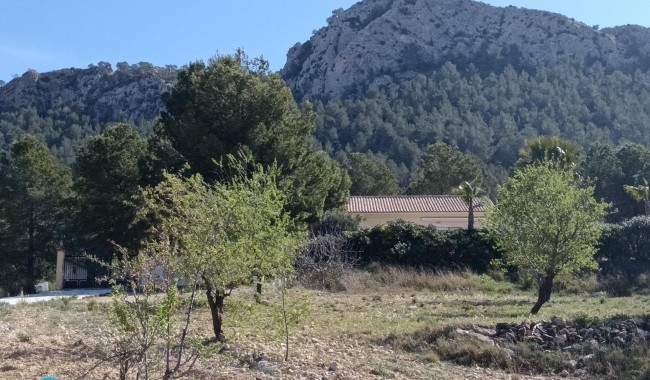 Begagnad - Villa - Abanilla