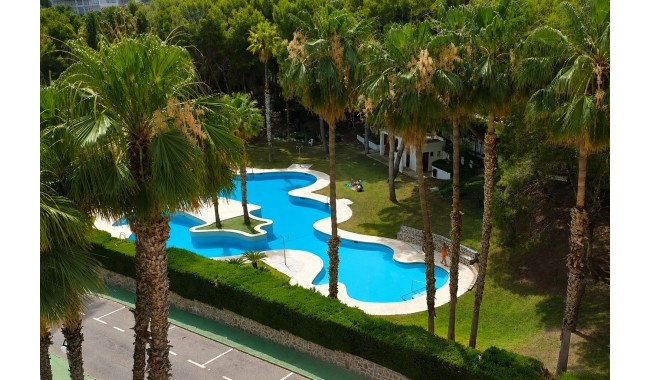 Begagnad - Lägenhet - Orihuela Costa - Campoamor